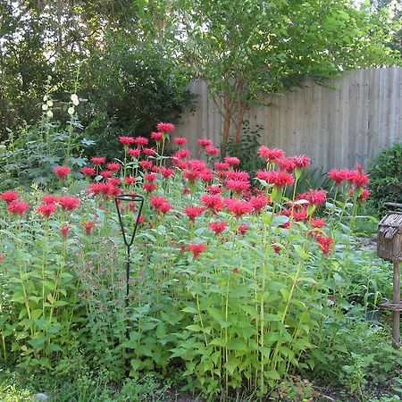 Twin Pines Bed And Breakfast Peterborough Exterior foto